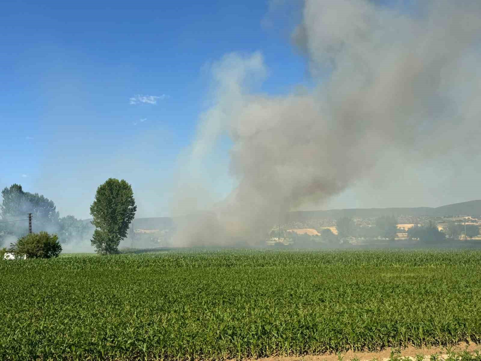 kastamonuda bugday tarlasi alev alev yandi 0 1lihgAnC
