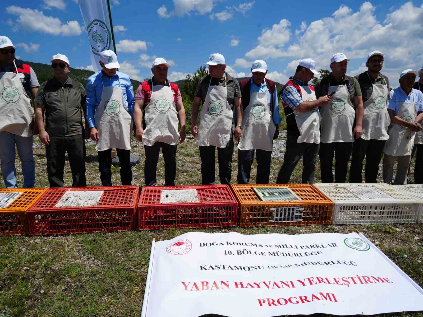 kastamonuda dogaya bin 200 kinali keklik salindi 2 45aWsaT7