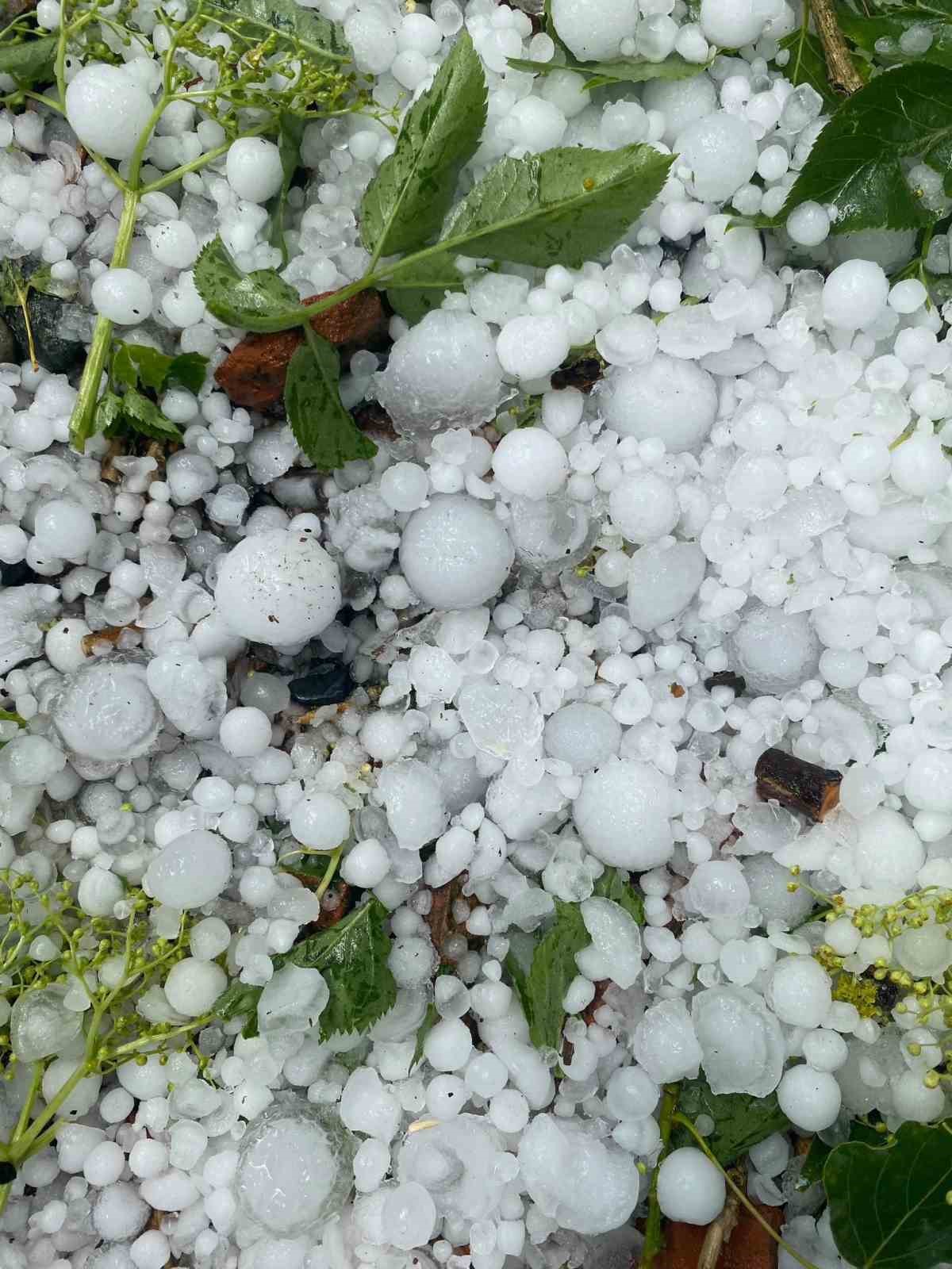 Kastamonu’da dolu yağışı etkili oldu 5 kastamonuda dolu yagisi etkili oldu 1 HAcU97yB