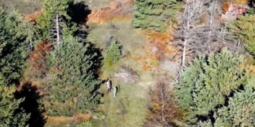 kastamonuda-dron-ile-tespit-edilen-4-kacak-avciya-cezai-islem-SBqw4wsu.jpg