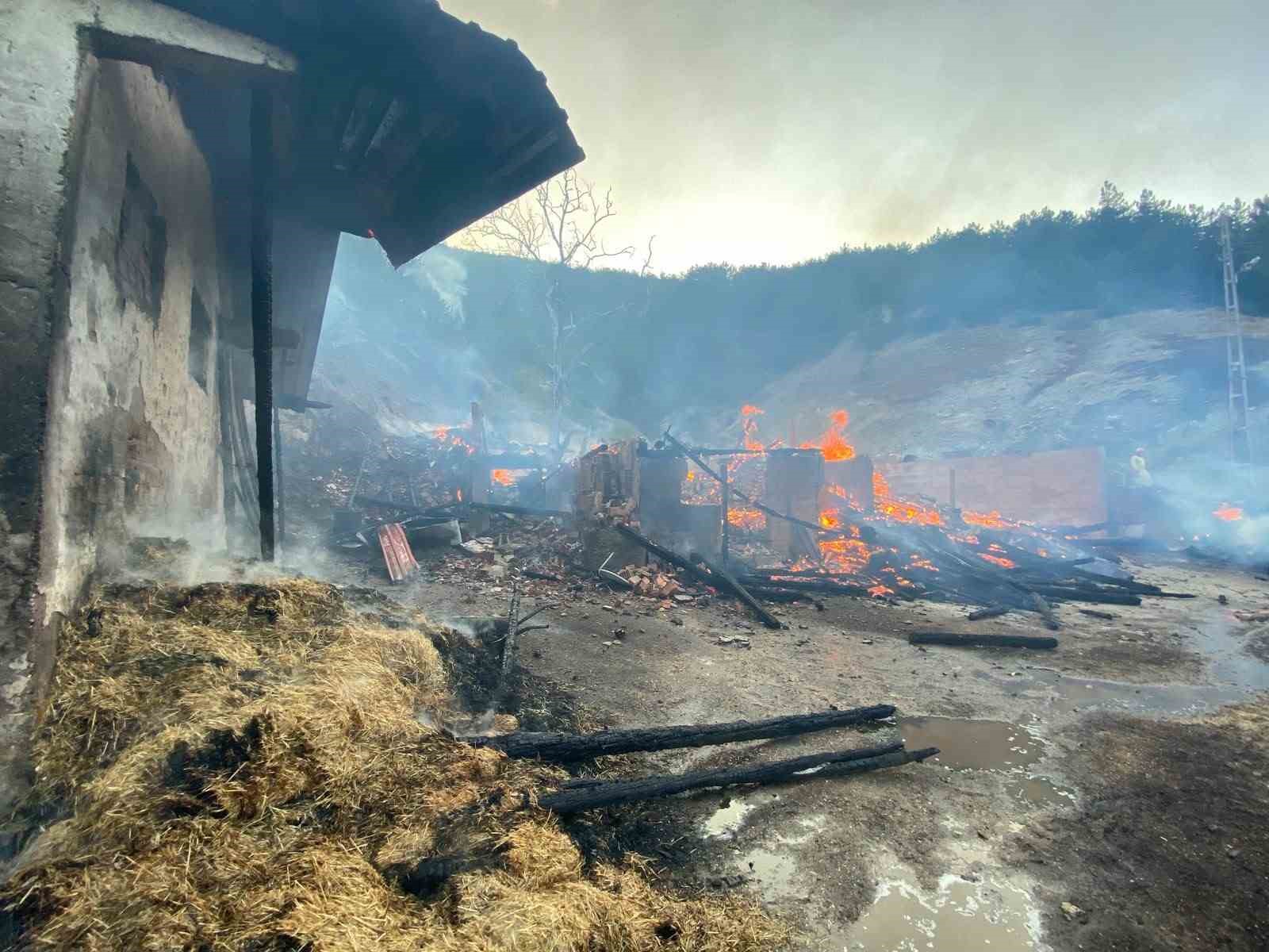 Kastamonu’da evde çıkan yangın ormana sıçradı 8 kastamonuda evde cikan yangin ormana sicradi 4 LfBuhWMS