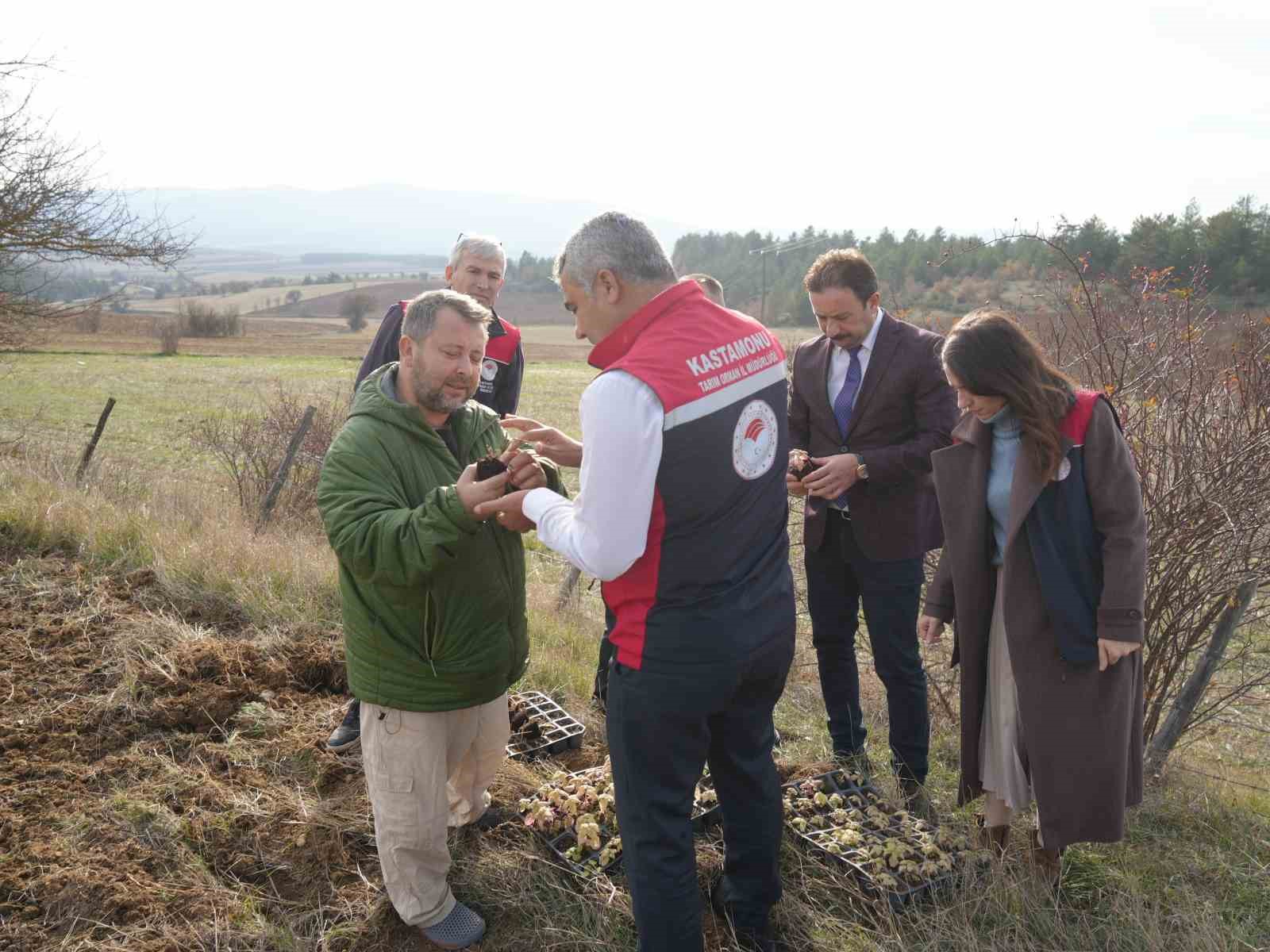 kastamonuda kadinlara guc veren proje 38 bin fide dagitimi yapildi 3 DQQkRMcT