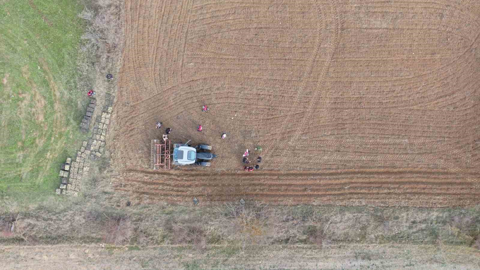 kastamonuda kadinlara guc veren proje 38 bin fide dagitimi yapildi 8 TSbmj67C