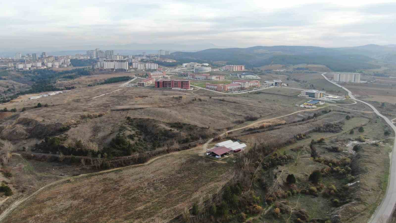 kastamonuda kadinlara guc veren proje 38 bin fide dagitimi yapildi 9 CuiMJrvQ
