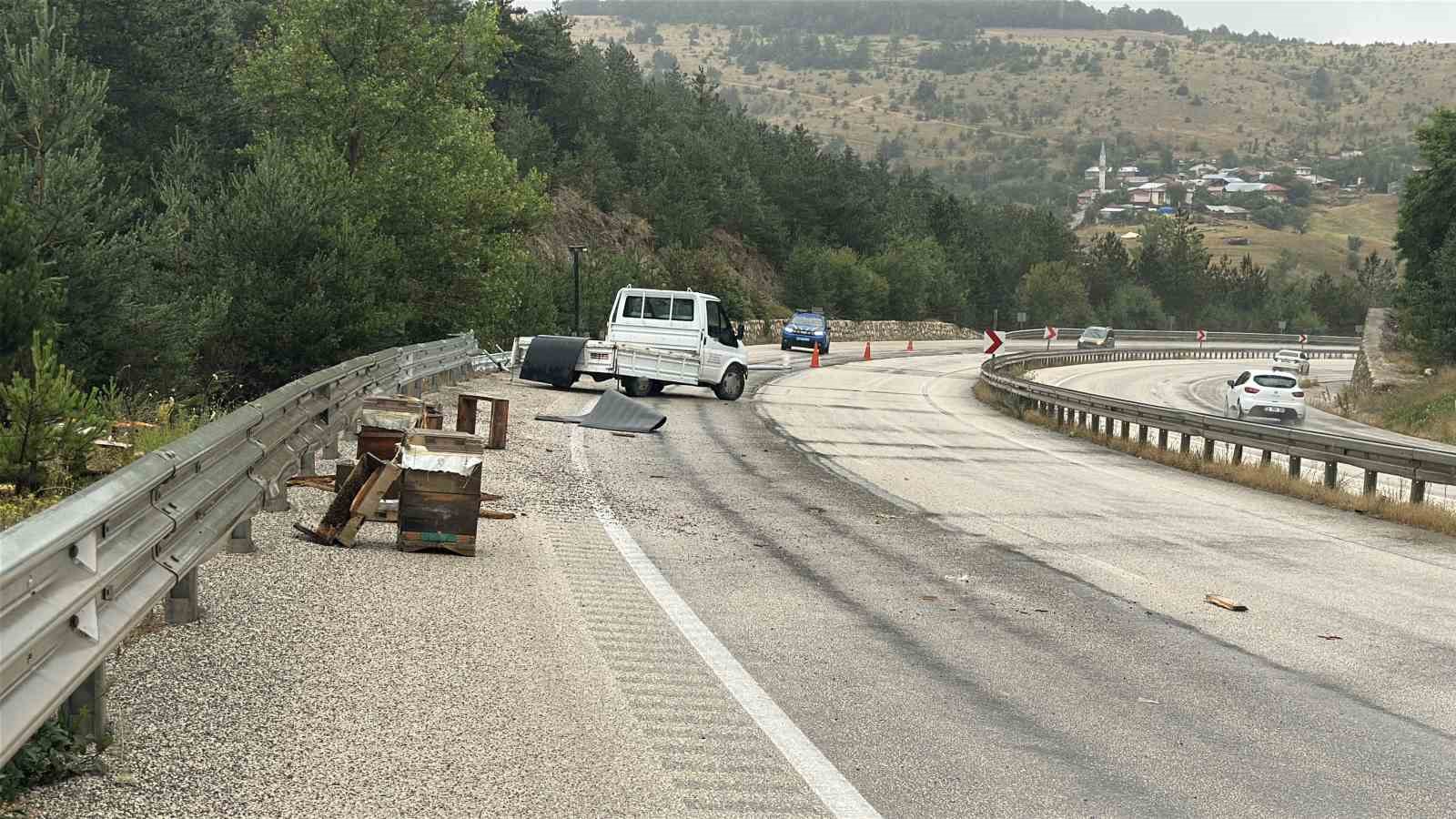 kastamonuda kamyonet bariyerlere carpti etrafa sacilan kovandaki arilar telef oldu 0
