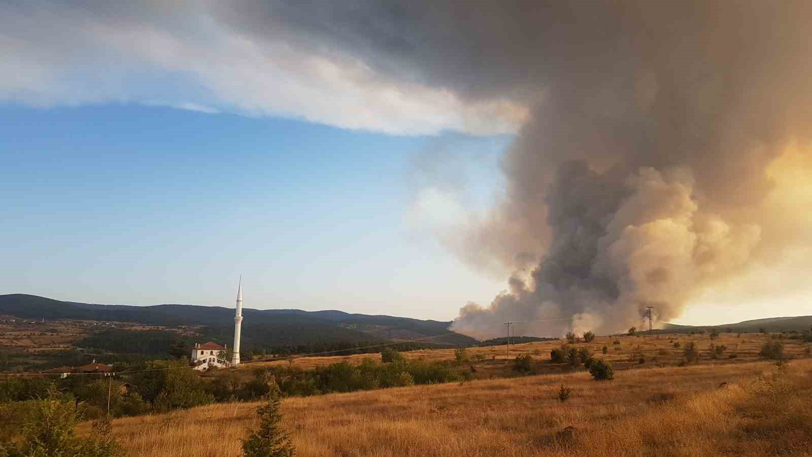 kastamonuda kule donen bin 256 hektarlik orman yeniden agaclandiriliyor 10 E9E4MysH
