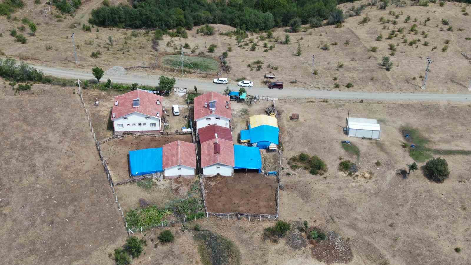 kastamonuda kule donen bin 256 hektarlik orman yeniden agaclandiriliyor 5 dYFv5NjQ