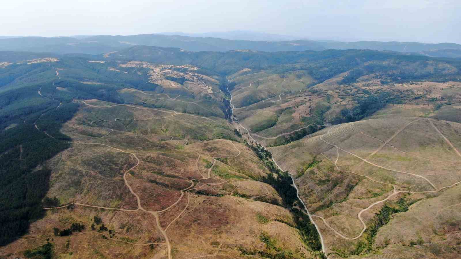 kastamonuda kule donen bin 256 hektarlik orman yeniden agaclandiriliyor 8