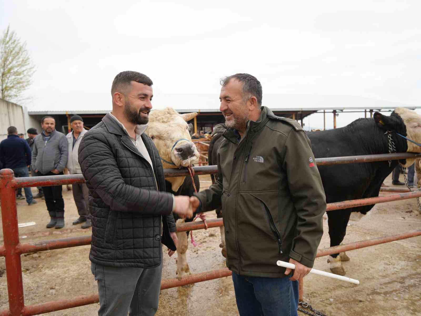 kastamonuda kurban bayrami hareketliligi 850 kilogramlik tosun 340 bin liraya alici buldu 0 yUV5gQ1f