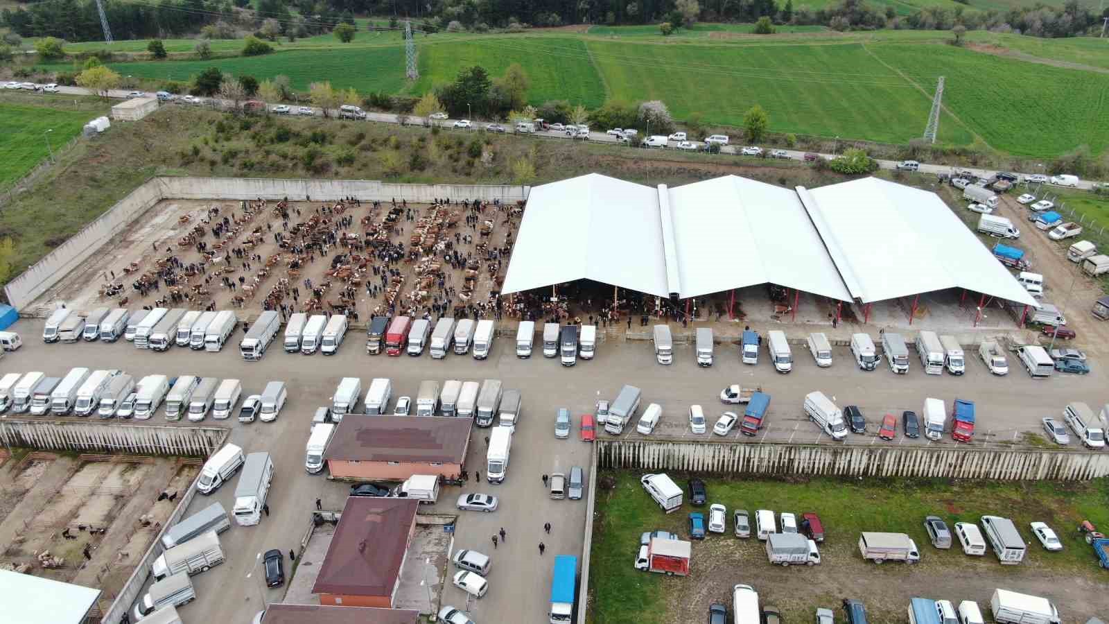 kastamonuda kurban bayrami hareketliligi 850 kilogramlik tosun 340 bin liraya alici buldu 4 ffbsNfEj