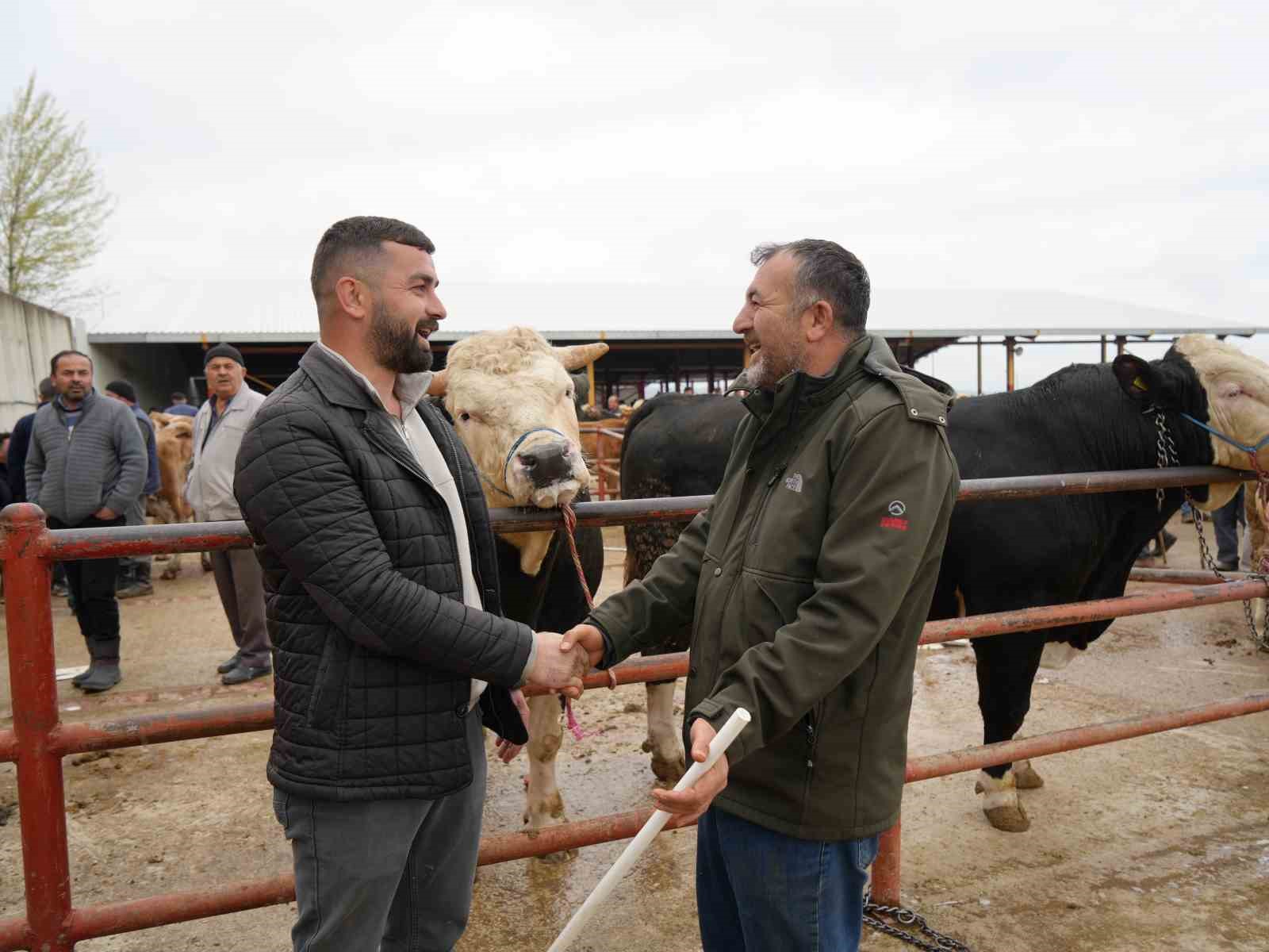 kastamonuda kurban bayrami hareketliligi 850 kilogramlik tosun 340 bin liraya alici buldu 5 qkwhwMzB