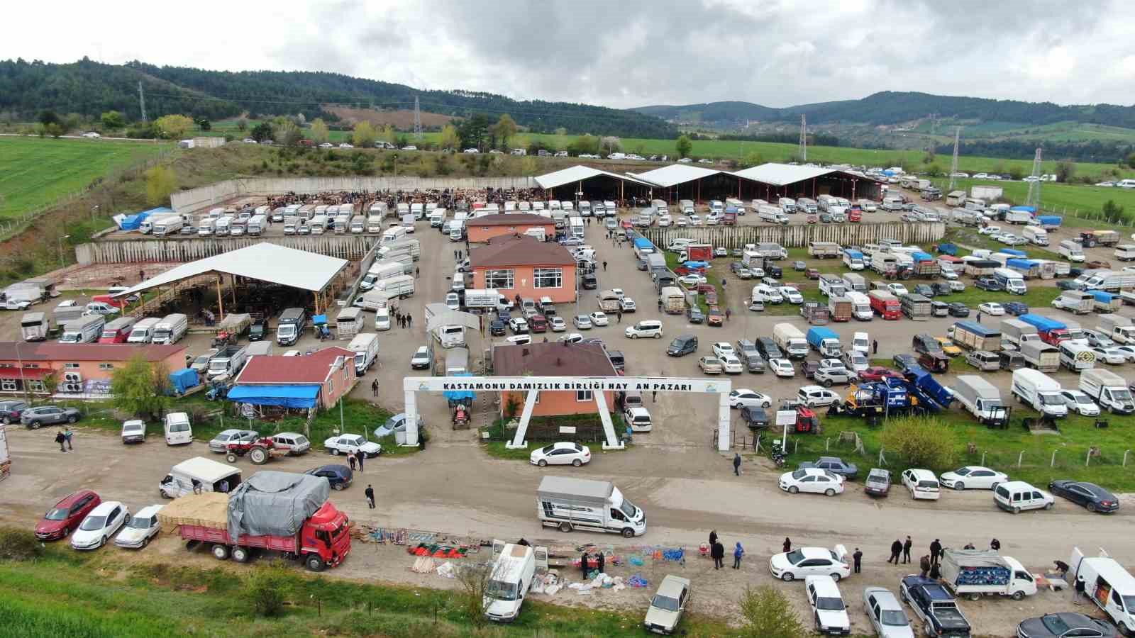 kastamonuda kurban bayrami hareketliligi 850 kilogramlik tosun 340 bin liraya alici buldu 6 LaIaMpLj