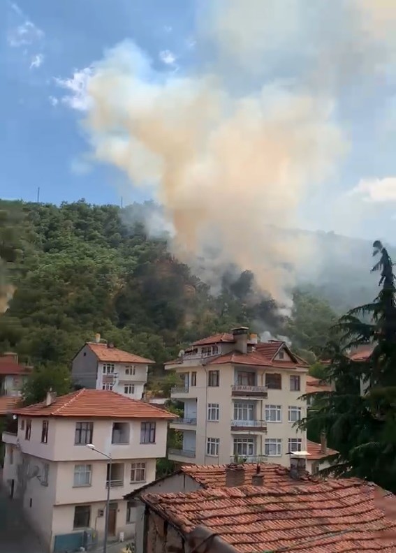 kastamonuda orman yangininda 40 donumluk alan zarar gordu 0 dWBKghnL