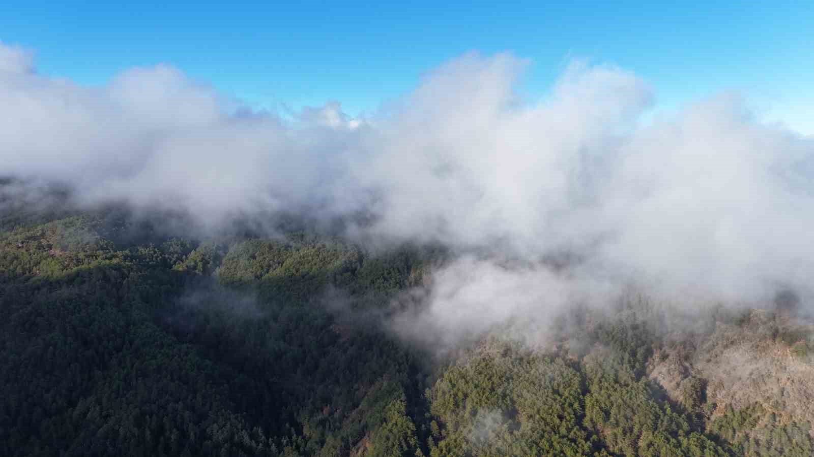 kastamonuda sis bulutlari ve ormanlarin bulusmasi mest etti 0 WaPaOm15