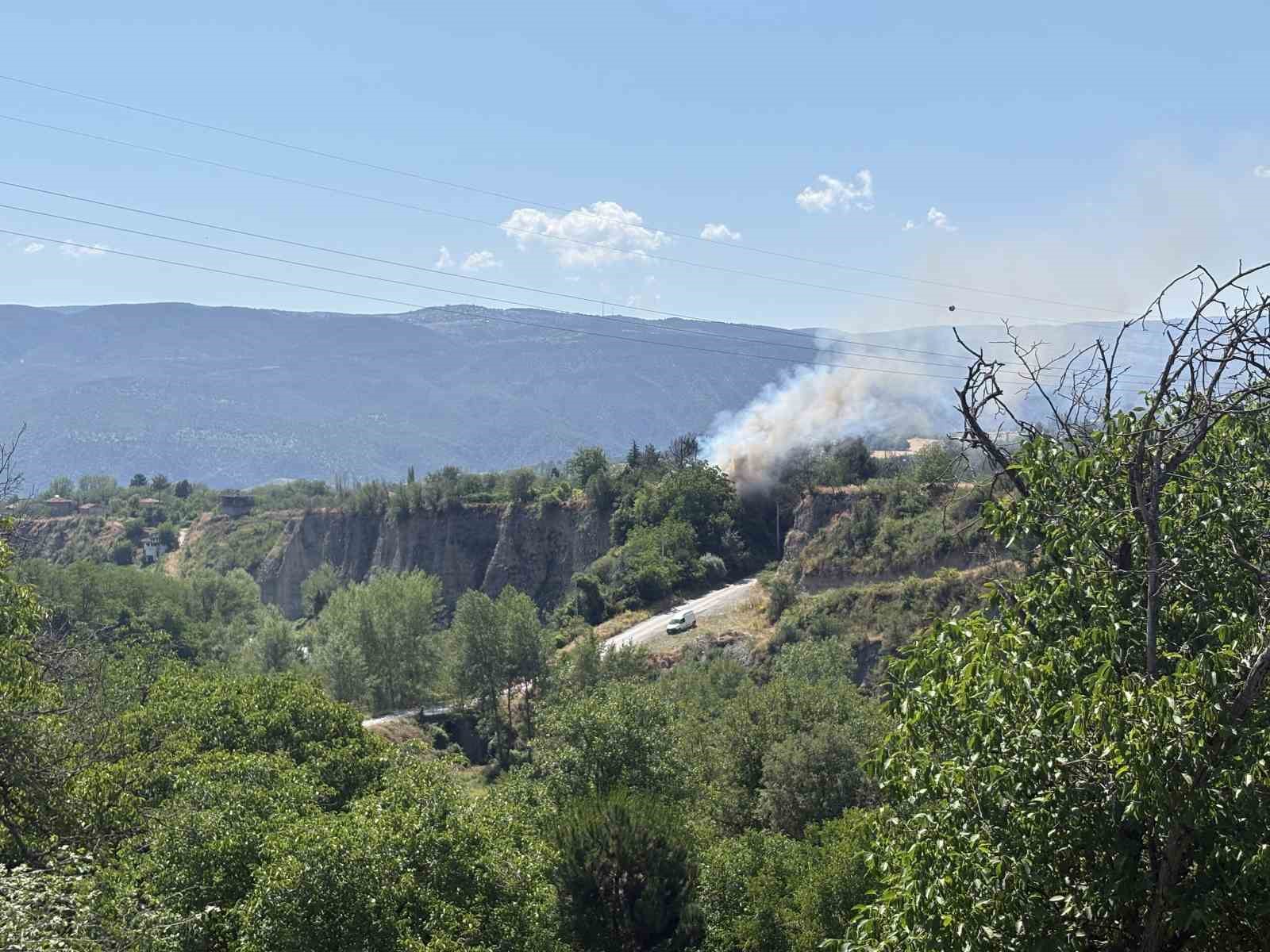 kastamonuda tesiste cikan yangin ormana sicramadan sonduruldu 3 229MA4BE