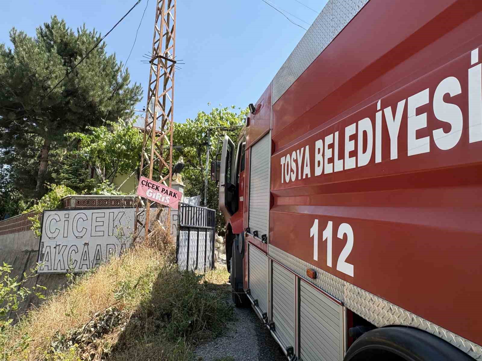 kastamonuda tesiste cikan yangin ormana sicramadan sonduruldu 5 LphHSumM