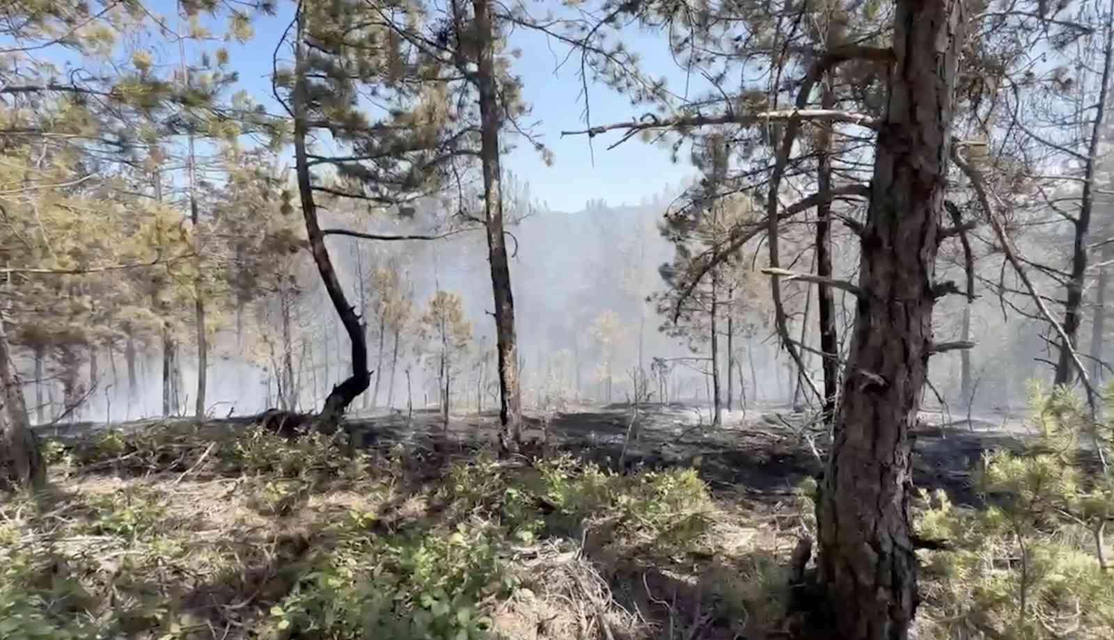 Kastamonu’daki orman yangını söndürüldü 4 kastamonudaki orman yangini sonduruldu 0 SWpmyOaK
