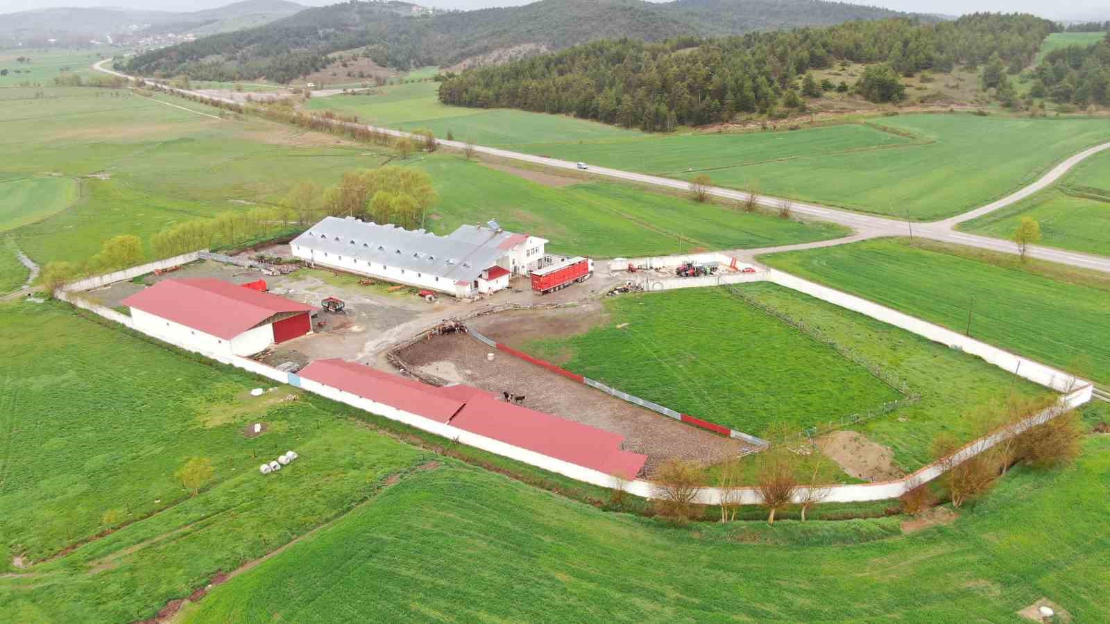 kastamonudan istanbula kurbanlik hayvan sevkiyatlari basladi 2 EGEANwnO