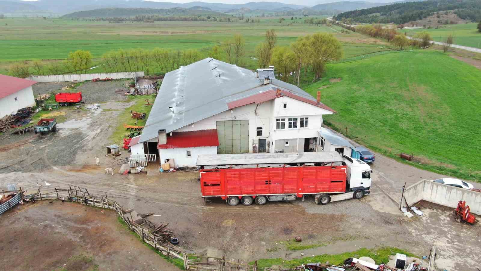 kastamonudan istanbula kurbanlik hayvan sevkiyatlari basladi 3 8bA37vuc