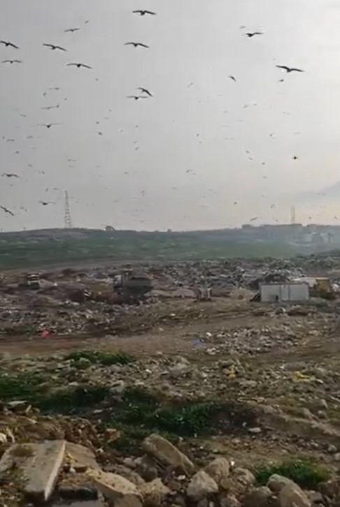 Katı Atık Tesisinde vahşi depolama yapan Bursa Büyükşehir Belediyesi’ne 1.8 milyon TL ceza 4 kati atik tesisinde vahsi depolama yapan bursa buyuksehir belediyesine 18 milyon tl ceza 0 24qOtmWC