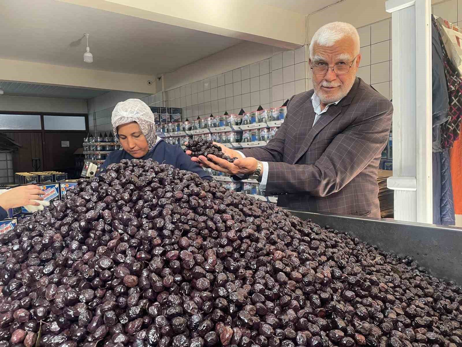 katirli daglarindan isvicre sofralarina 2 a9UJzBpL