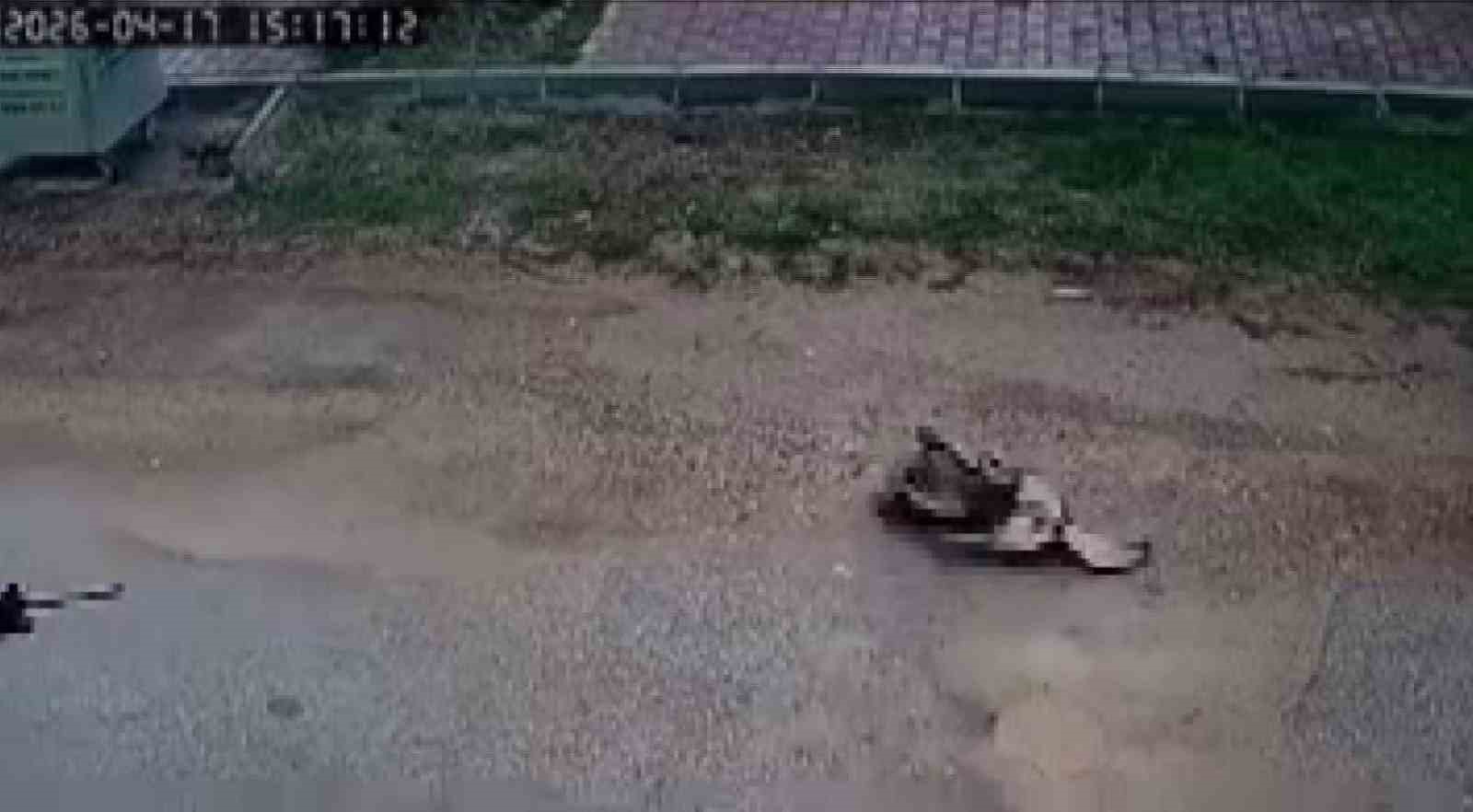 kavga eden sokak kopeklerine tufekle ates edip bir kopegi oldurdu 2 5tn4r55F