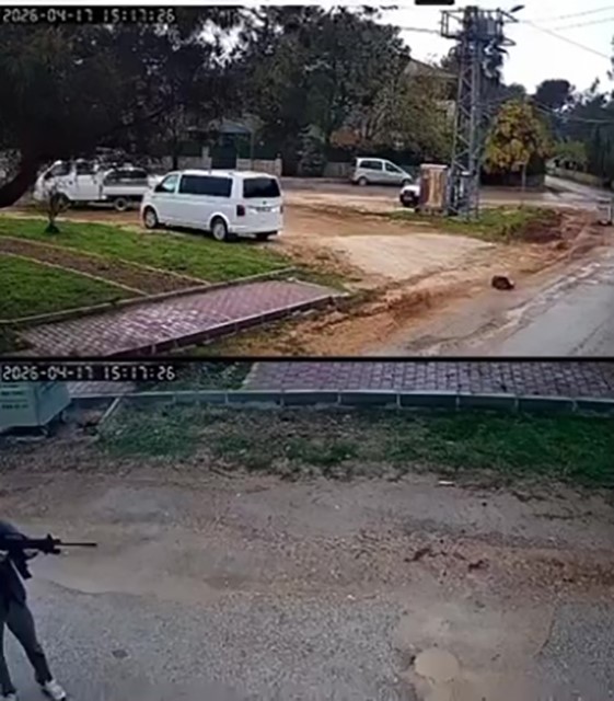 kavga eden sokak kopeklerine tufekle ates edip bir kopegi oldurdu 6