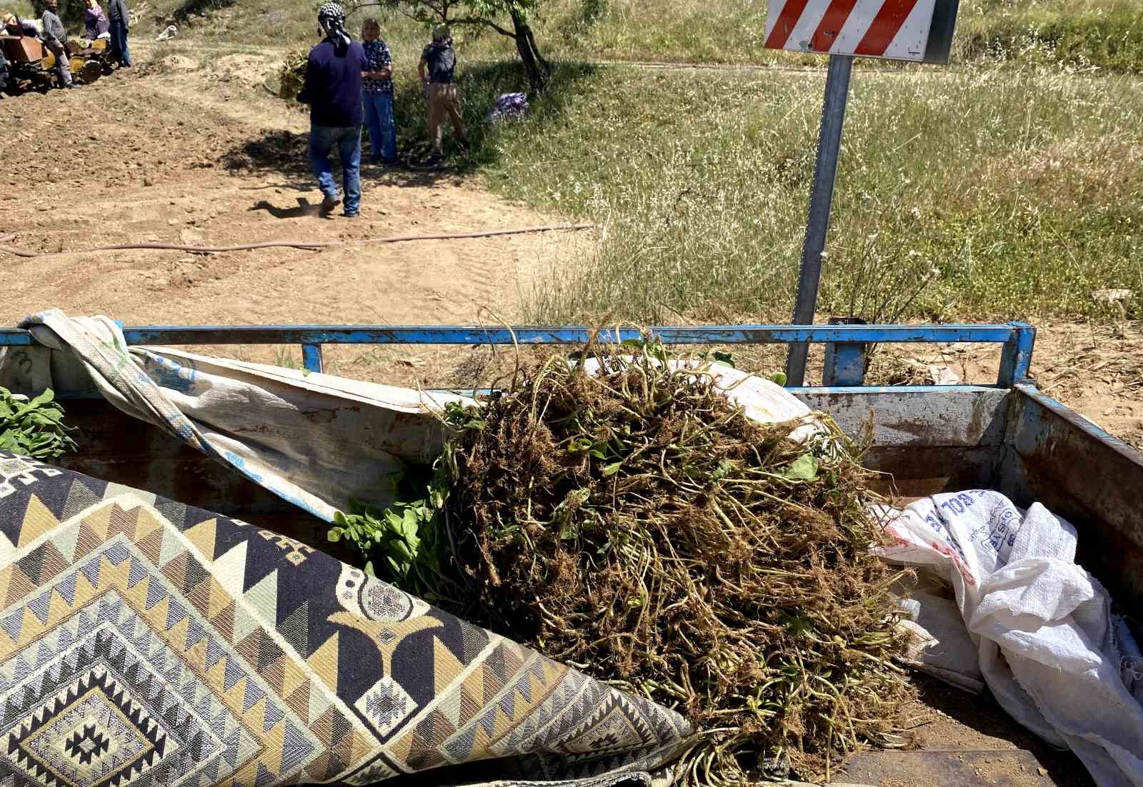 kavurucu sicakta ekmek mucadelesi 2