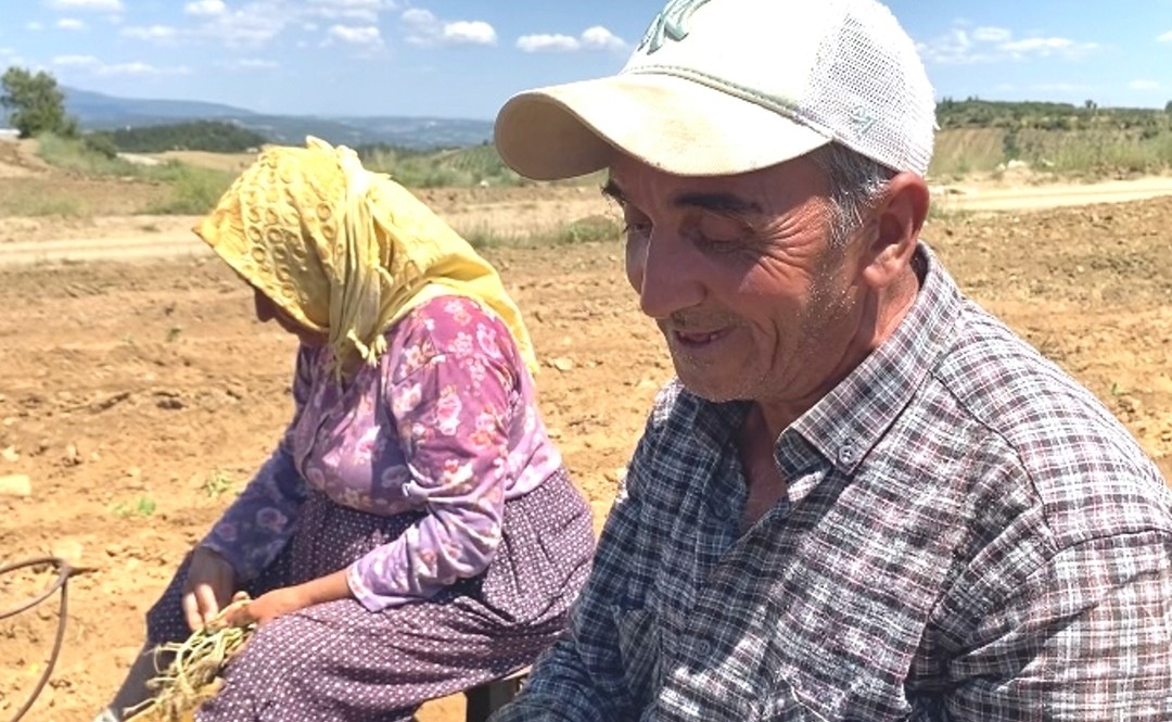 kavurucu sicakta ekmek mucadelesi 5 A4uCmhnz
