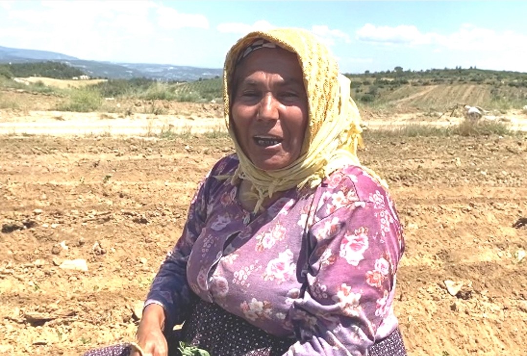 kavurucu sicakta ekmek mucadelesi 6 T45IZWFH