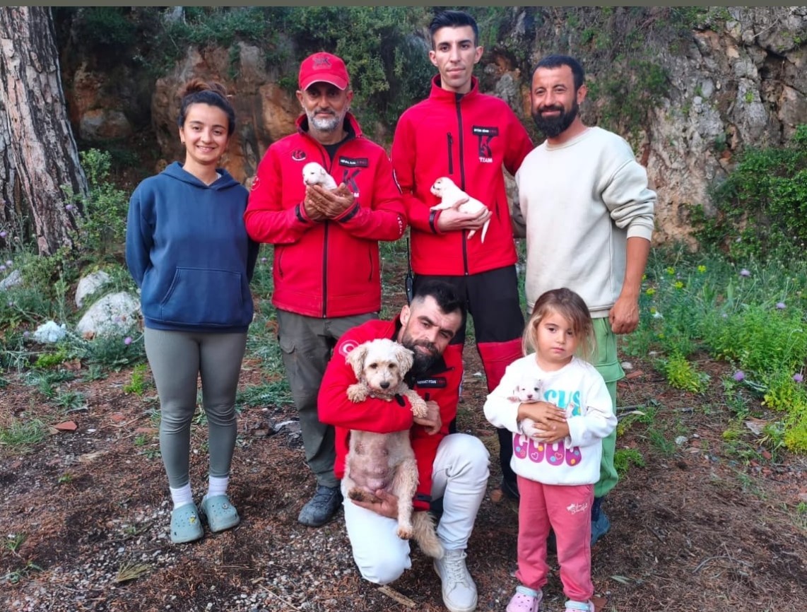 Kaya içerisindeki yarığa düşen 6 yavru köpek için film gibi kurtarma operasyonu 5 kaya icerisindeki yariga dusen 6 yavru kopek icin film gibi kurtarma operasyonu 1 SbW7tQ1g