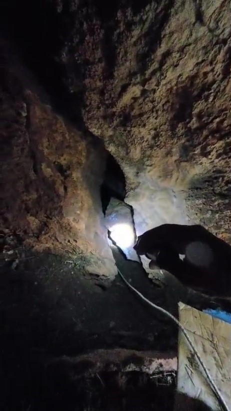 Kaya içerisindeki yarığa düşen 6 yavru köpek için film gibi kurtarma operasyonu 14 kaya icerisindeki yariga dusen 6 yavru kopek icin film gibi kurtarma operasyonu 10 aHJq1bcr