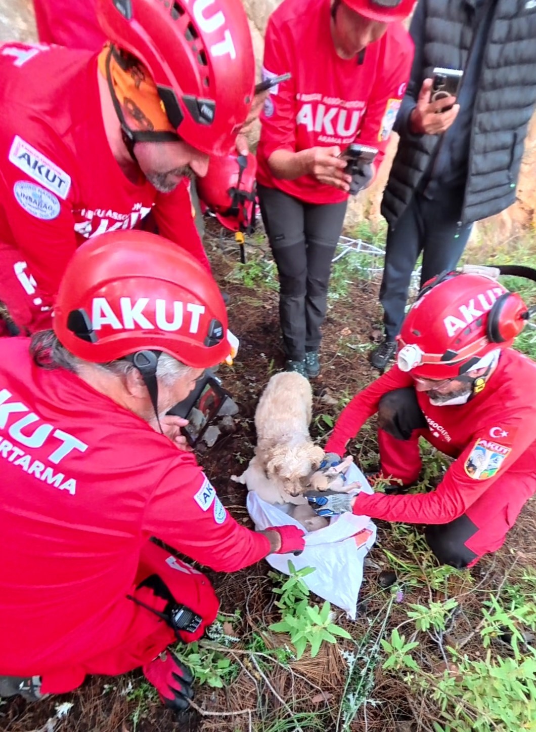 Kaya içerisindeki yarığa düşen 6 yavru köpek için film gibi kurtarma operasyonu 6 kaya icerisindeki yariga dusen 6 yavru kopek icin film gibi kurtarma operasyonu 2 Aa1nA9p3