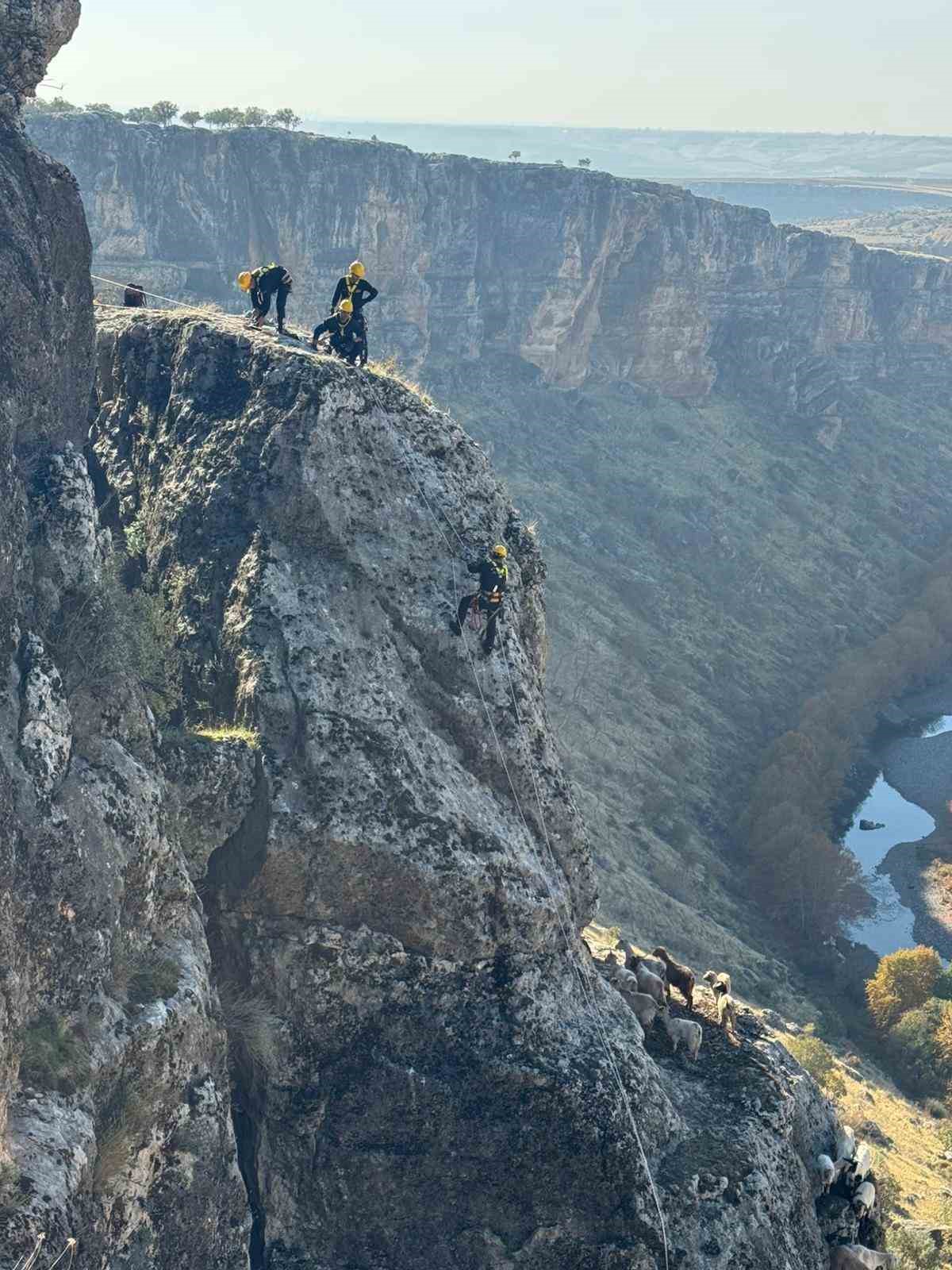 kayaliklarda mahsur kalan 25 keci kurtarildi 1 MzEHIg21