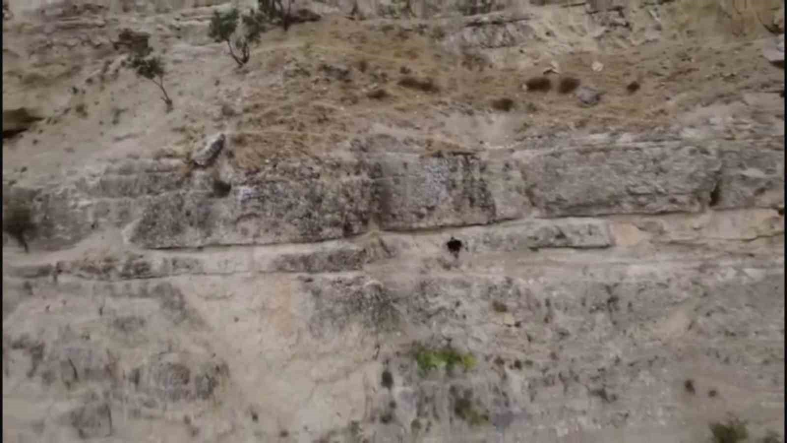 kayaliklarda mahsur kalan sahis afad ekiplerince kurtarildi 4 lAtRfOVS