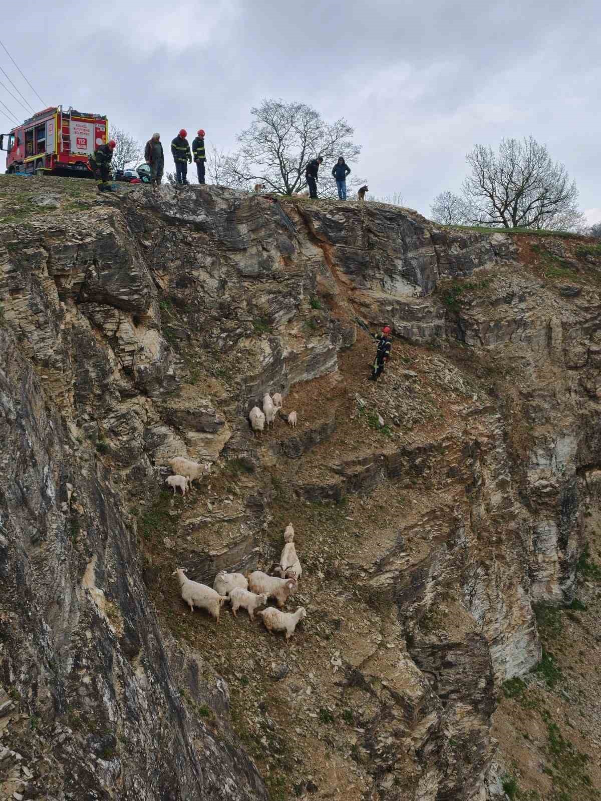 kayaliklardaki suruye cansiparane kurtarma 0 UX61Cvnp
