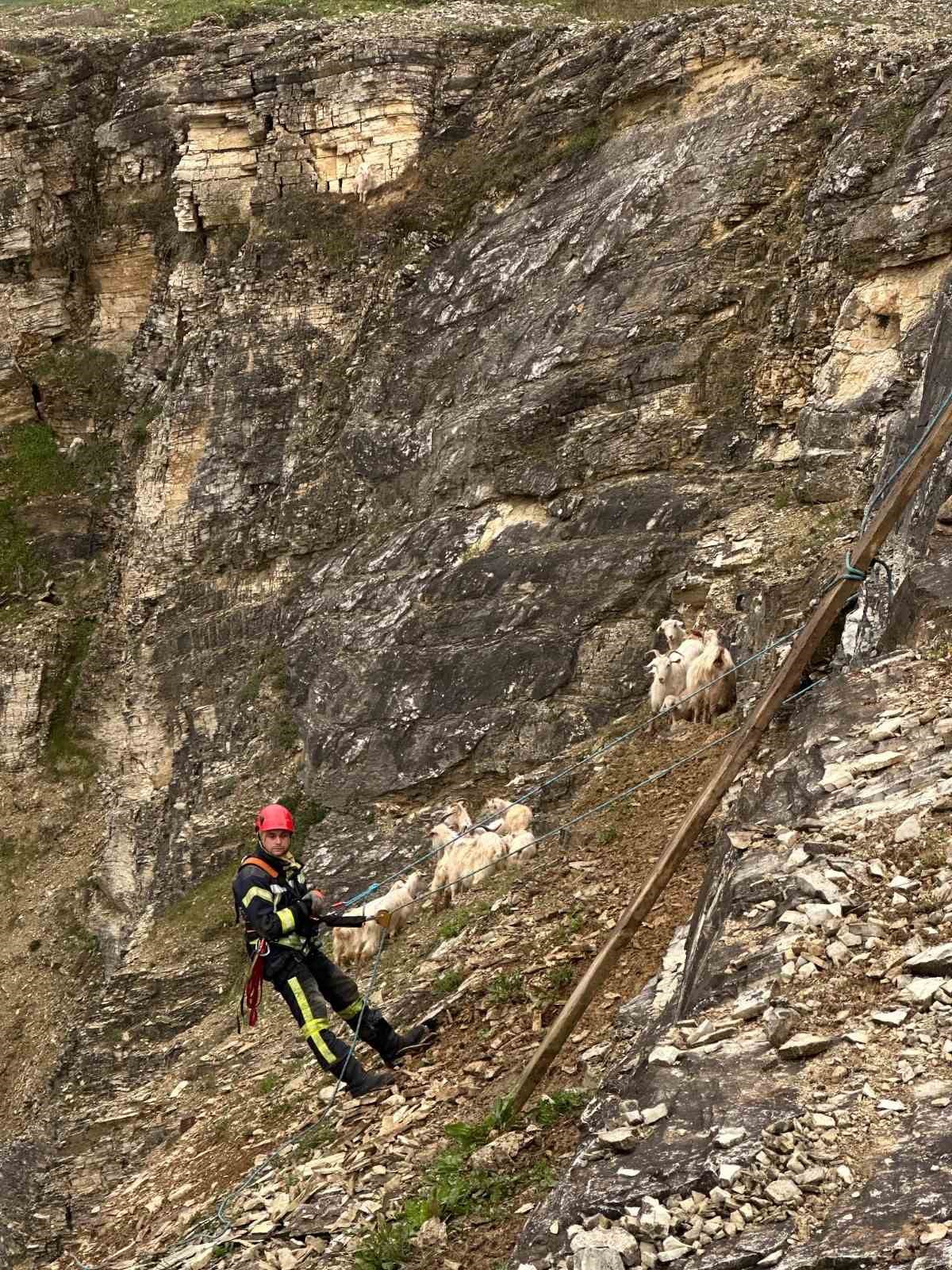 kayaliklardaki suruye cansiparane kurtarma 2 f1AqCRqC
