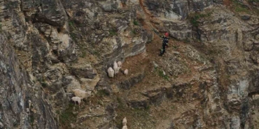 kayaliklardaki-suruye-cansiparane-kurtarma-X2NCXR1e.jpg