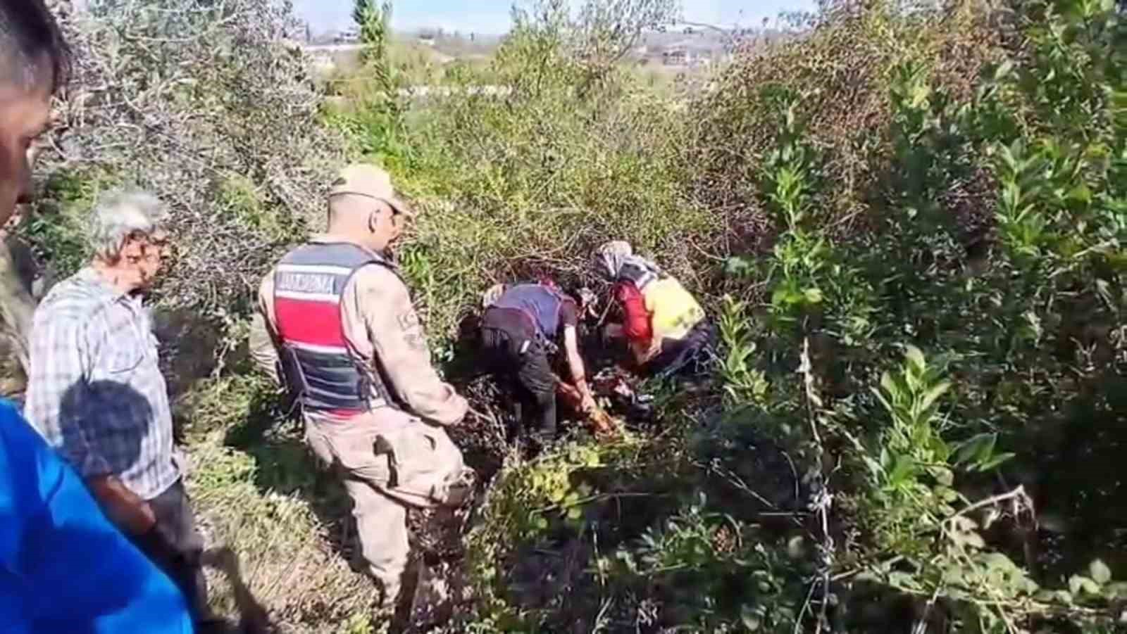 kaybolan gorme engelli yasli adami jandarma zeytinlikte buldu 1 kMLDCGFV
