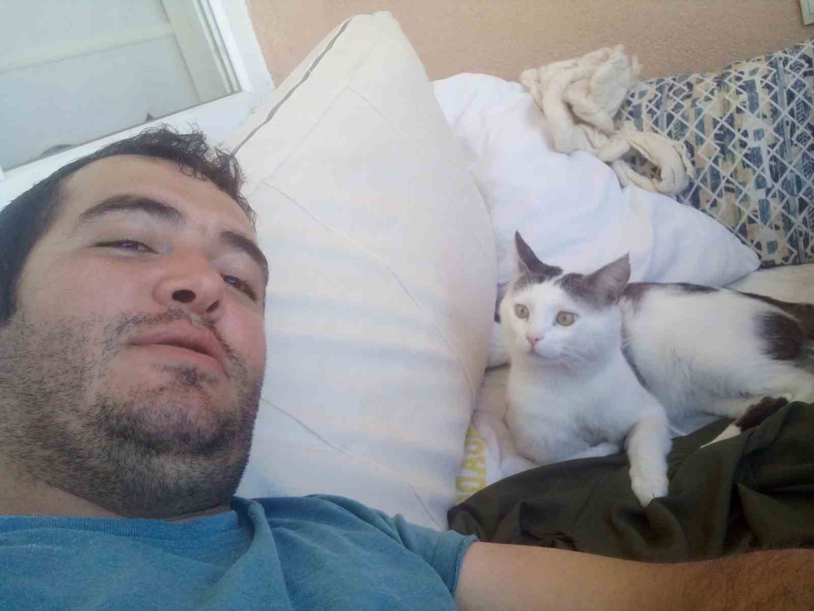 kaybolan kedisi icin binlerce kilometre yol yapti 0 PdgB3mZ4