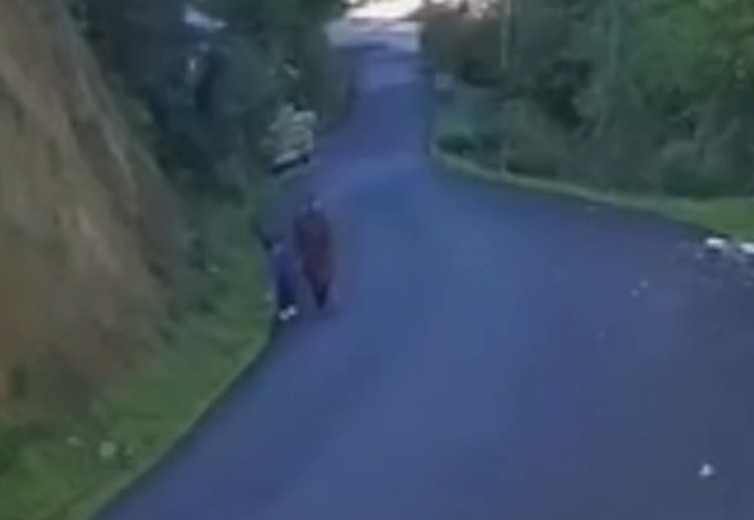 kayip anne ve ogluna ait yeni goruntu ortaya cikti 1 TdiAOf72