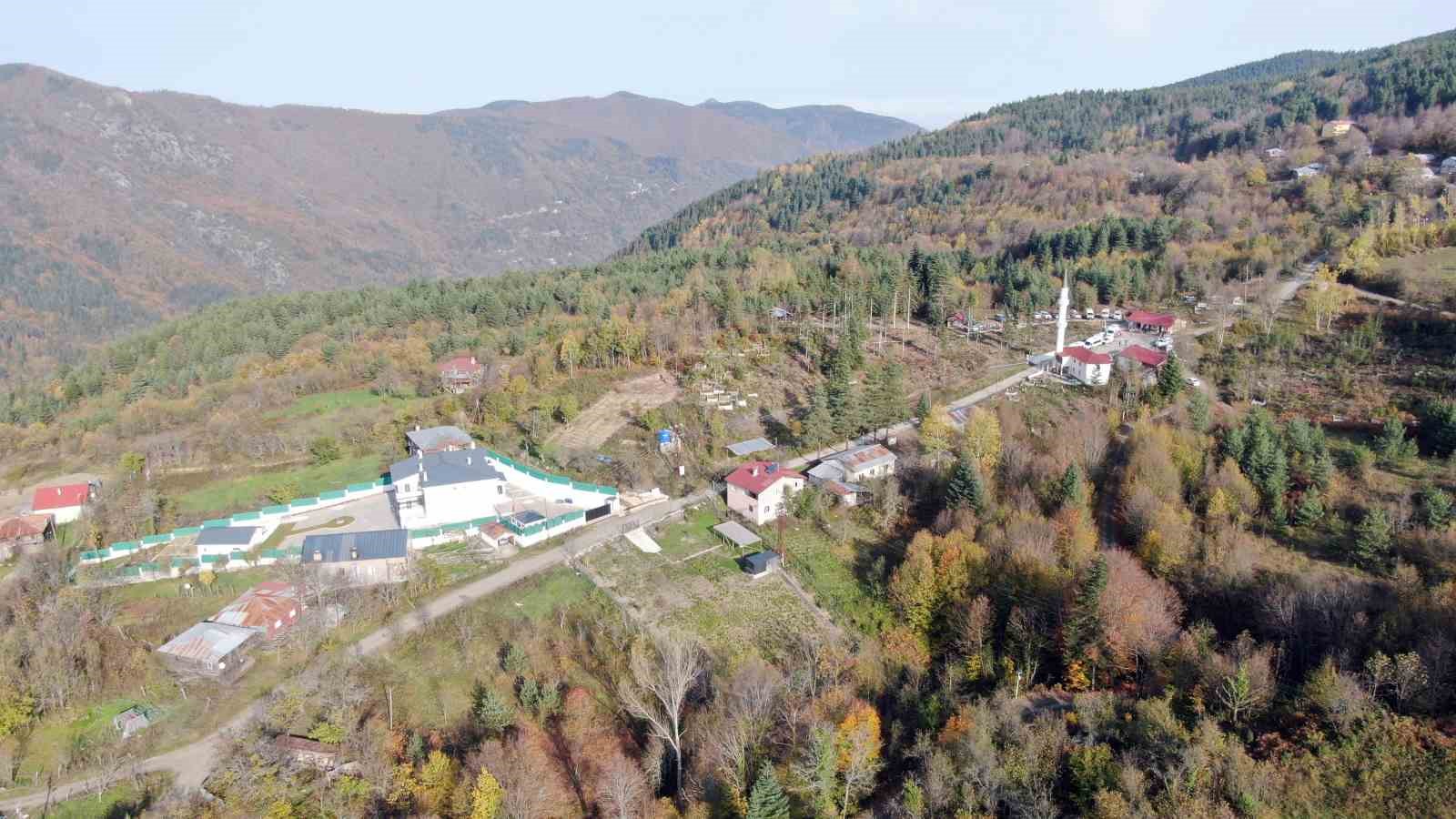 kayip anne ve oglunu arama calismalari altinci gununde devam ediyor 11 mRW1jTBn