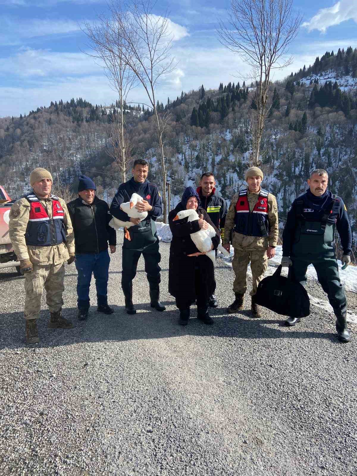 kayip kazlar uc gun sonra dere yataginda bulundu 2 JHRQt8LR