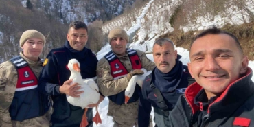 kayip-kazlar-uc-gun-sonra-dere-yataginda-bulundu-VSfdFXrz.jpg