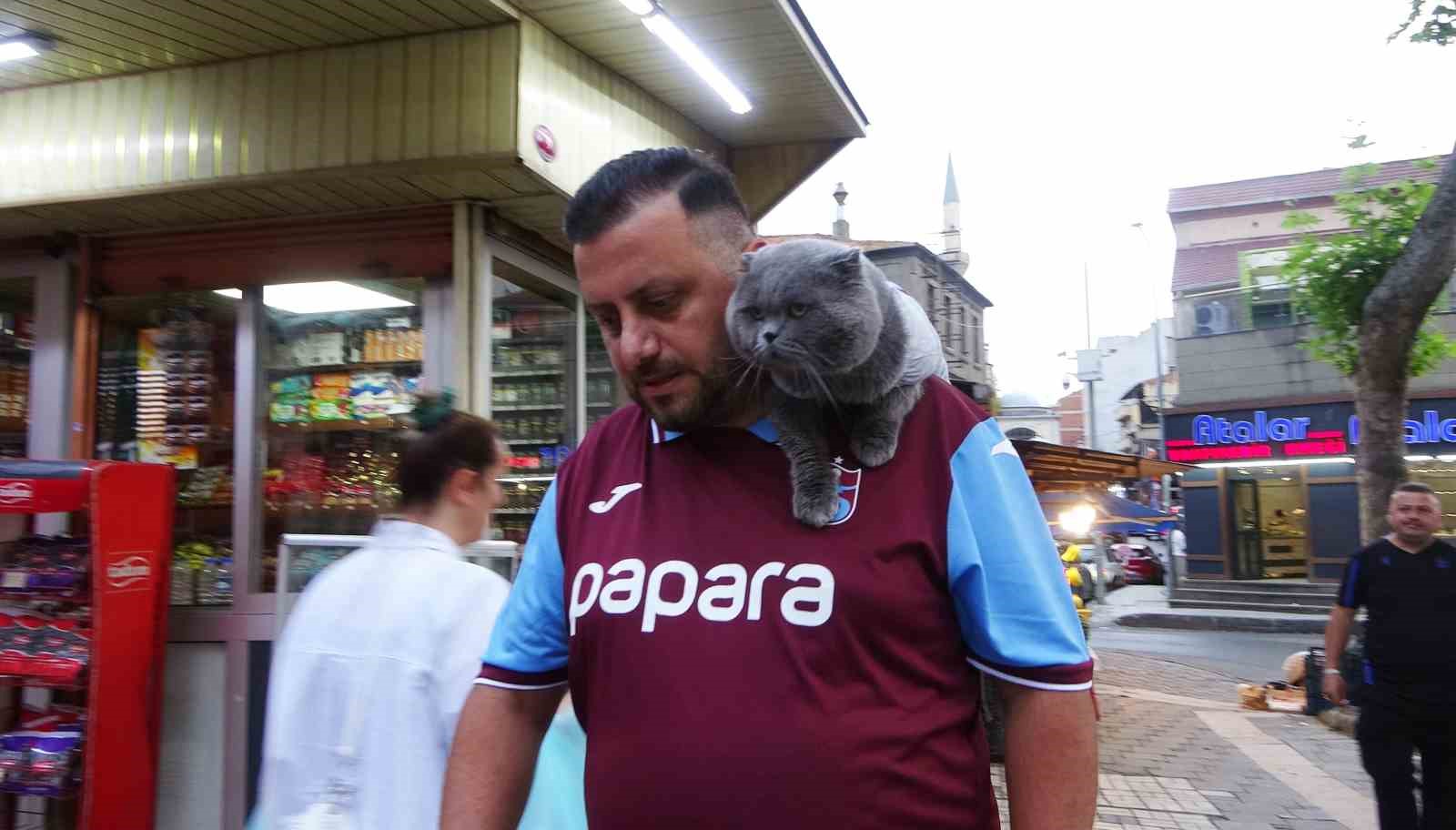 kayip kedi tom 4 gun sonra bulundu 0