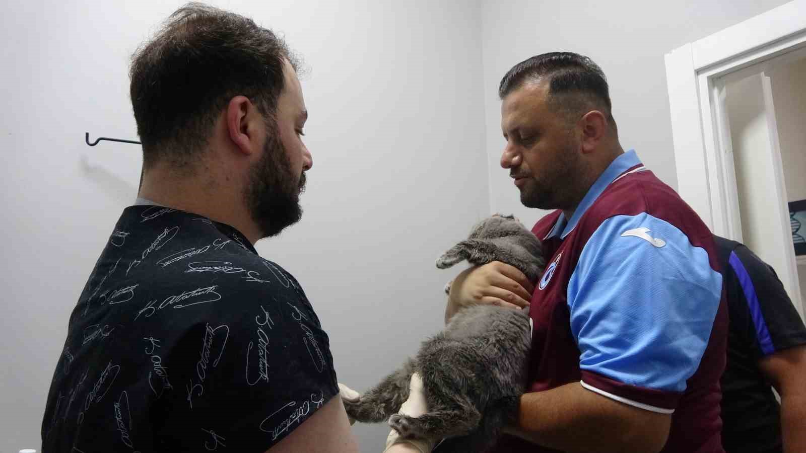 kayip kedi tom 4 gun sonra bulundu 2 NSEKsMb1