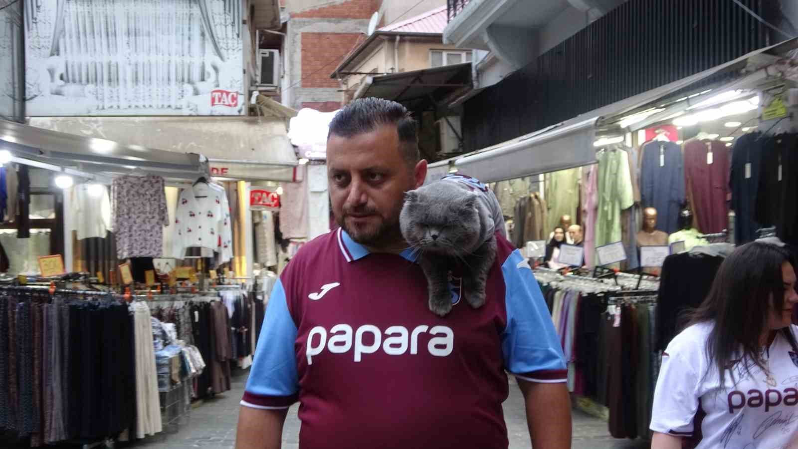 kayip kedi tom 4 gun sonra bulundu 5 iVMM7CKY