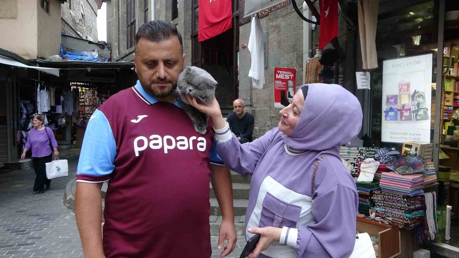 kayip kedi tom 4 gun sonra bulundu 7 UPWJLkkL
