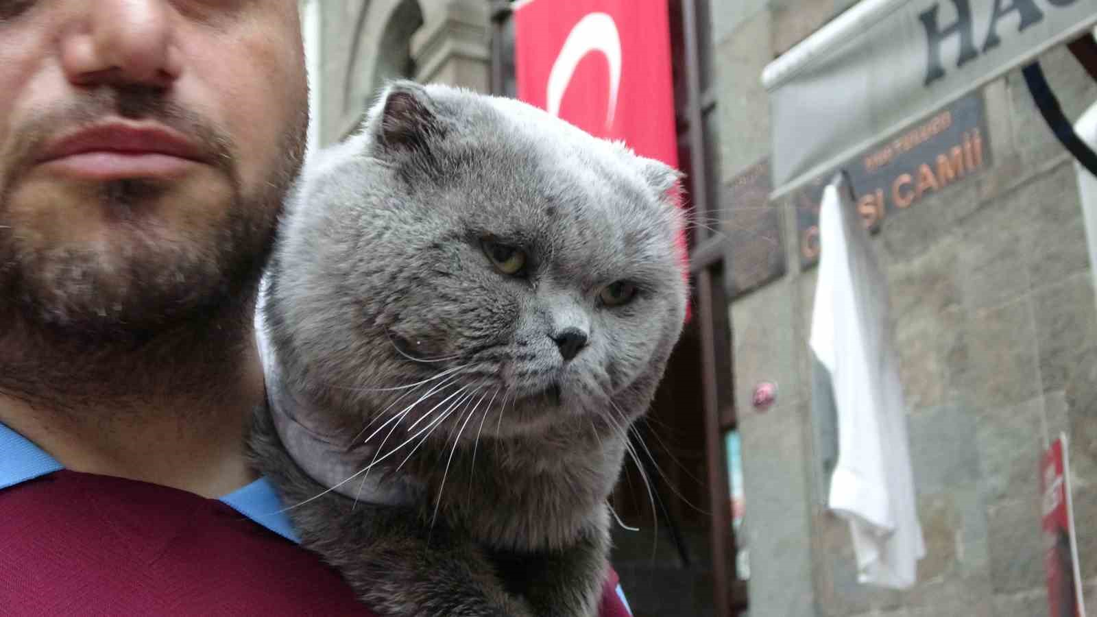 kayip kedi tom 4 gun sonra bulundu 8 YSVdWmAg
