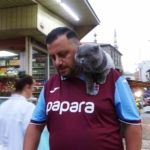 kayip-kedi-tom-4-gun-sonra-bulundu-xQZ7w31e.jpg